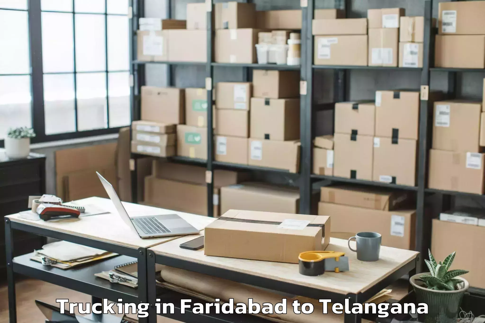 Quality Faridabad to Eligedu Trucking